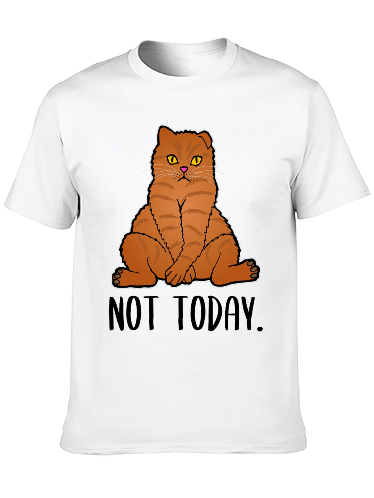Not Today Cat Graphic T-Shirt