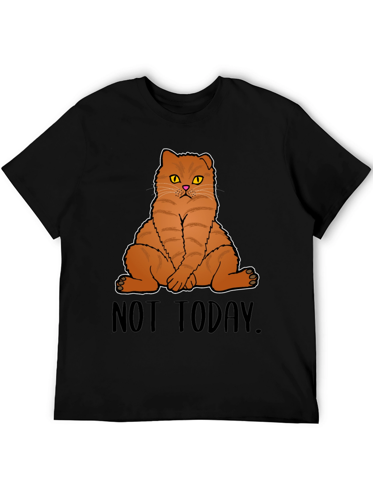 Not Today Cat Graphic T-Shirt