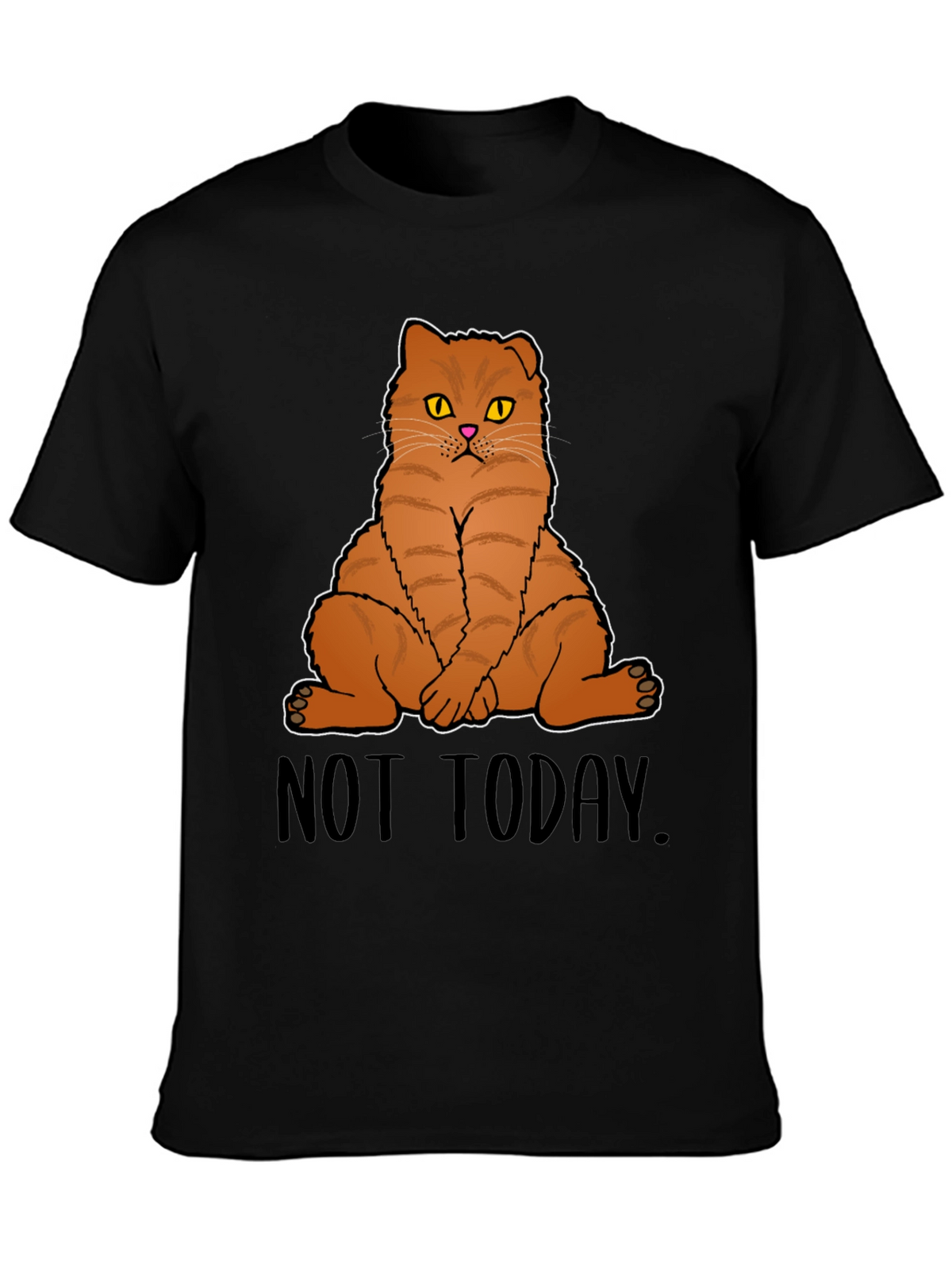 Not Today Cat Graphic T-Shirt