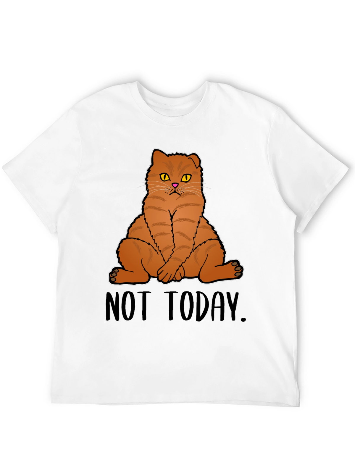 Not Today Cat Graphic T-Shirt