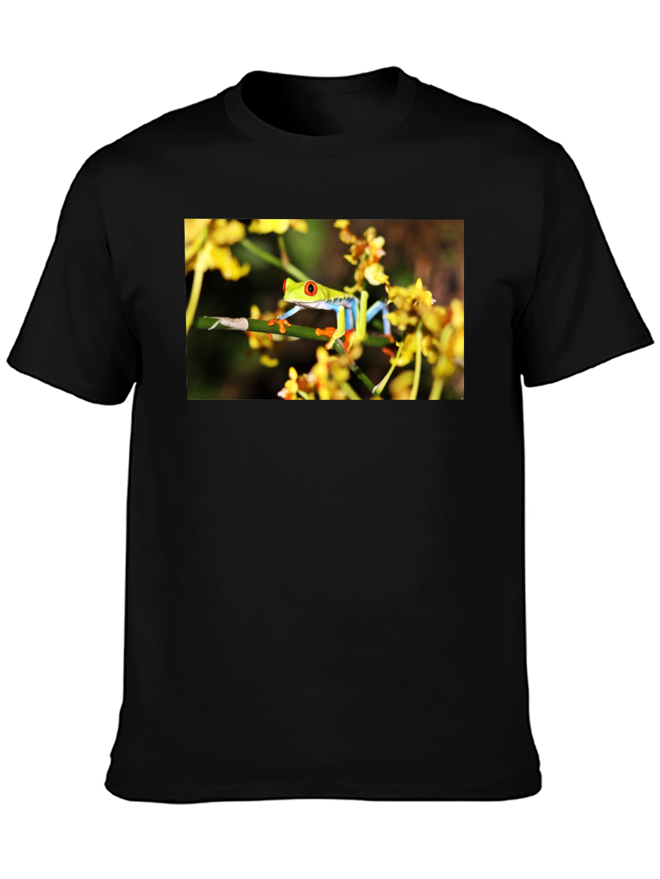 Red Eyed Tree Frog Graphic T-Shirt