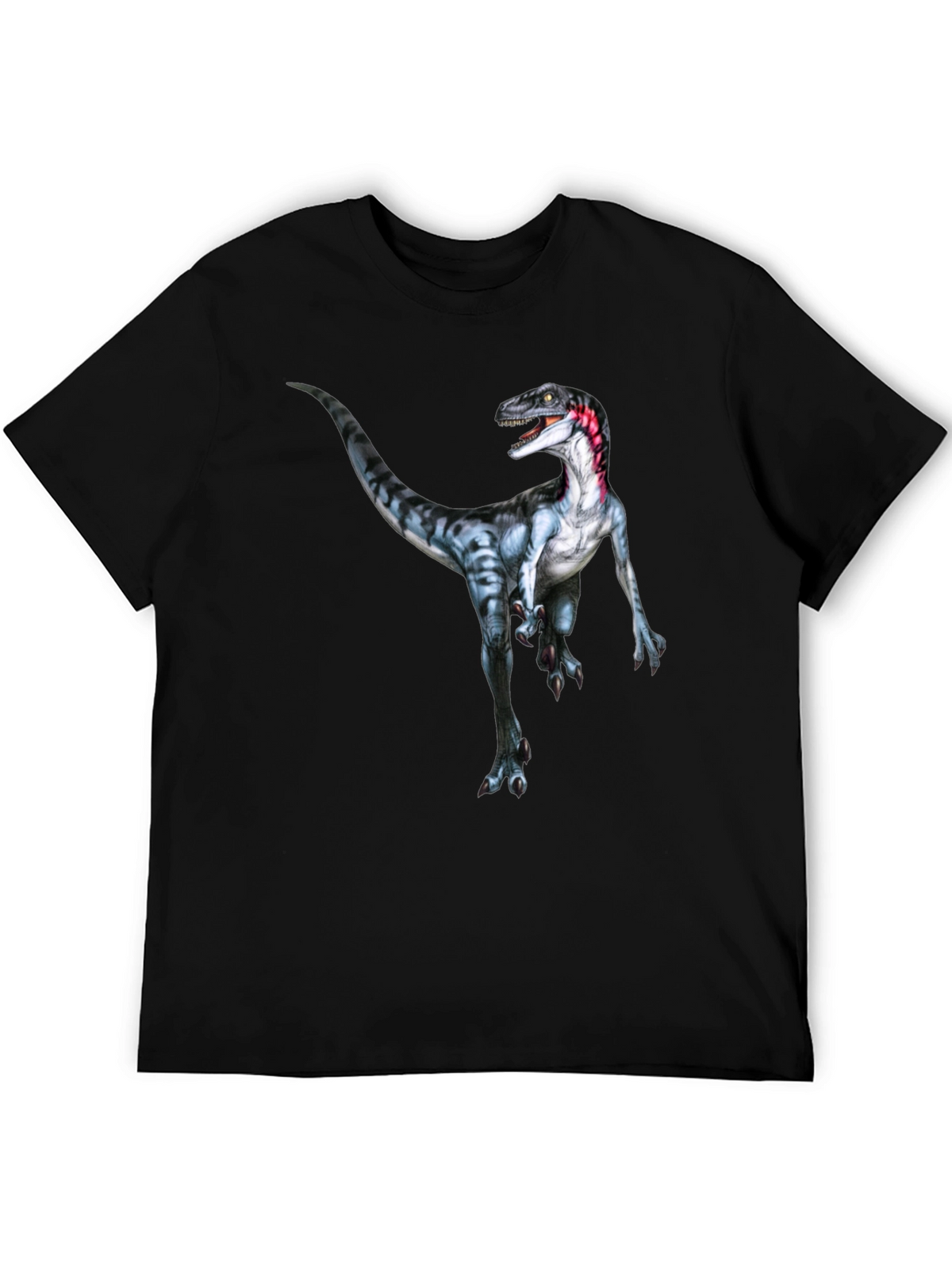 Dinosaur Graphic Print T-Shirt